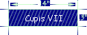 Cupis VII