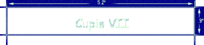 Cupis VII