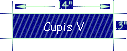 Cupis V