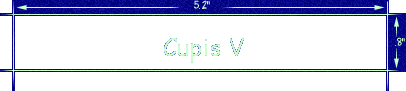 Cupis V