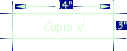 Cupis V