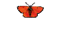 Ansteuerung