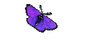 Aspasia