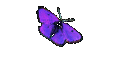 Charybdis