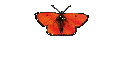 Eigene