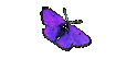 Ellen