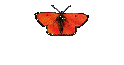 Ellen