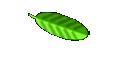 Leitung