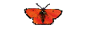 Leitung