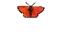 Medina