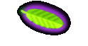 Schnecken