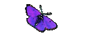 Sharon