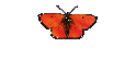 Sharon