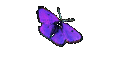 Solitaire