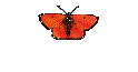 Solitaire