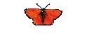 Szylla