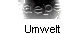 Umwelt