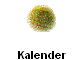 Kalender