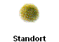 Standort