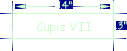 Cupis VII